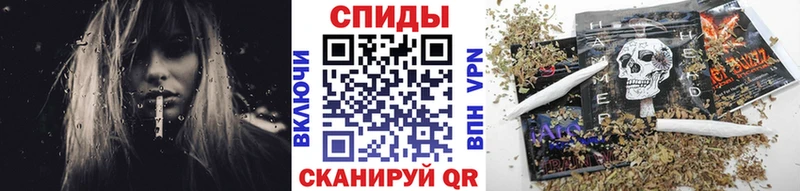 KRAKEN рабочий сайт  как найти закладки  Магас  Бутират BDO 