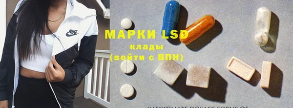 шишки Армянск