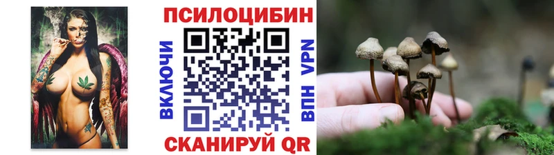 Псилоцибиновые грибы Psilocybe  Магас 